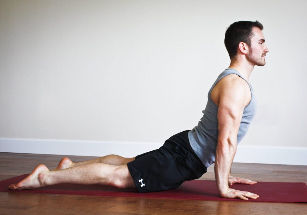 آکادمی ژیمناستیک میلاد پژواک